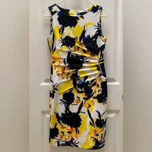 Ivanka Trump flora dress， size 2